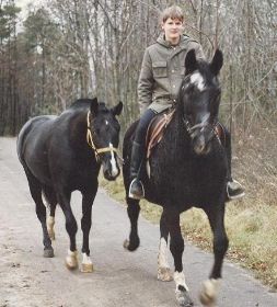 Spazieren im Wald